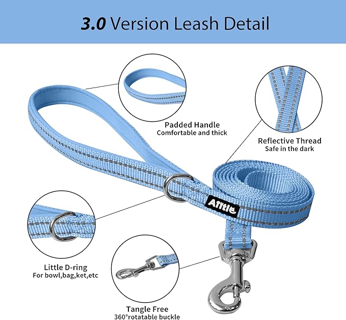 AIITLE Comfortable Dog Harness and Leash Set for Walking - Summer Step in Vest Harness,Reflective Bands, Adjustable No Pull Puppy Essentials, for Small Dogs and House Cats Blue XS