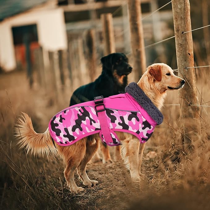 IECOii Extra Warm Dog Coat - Reflective Adjustable Jacket with Buckle & Fleece Turtleneck for Small to Extra Large Dogs