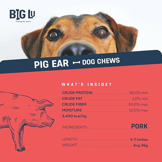 Big Lu – Pig Ear Dog Chews, 6 Count, All-Natural Single-Ingredient Pork Treats, Easily Digestible, Supports Joint Health with Glucosamine and Chondroitin