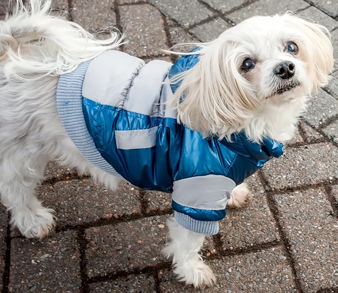 Pet Life Sporty Vintage Aspen Ski Winter Dog Coat with snap-Off Removable Hood - Dog Jacket Features 3M Thinsulate Insulation Warming Technology - Dog Clothes fits Small, Medium and Large Dogs