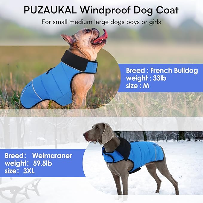 Dog Coat, Large Dog Jacket, Windproof Dogs Puffer Jacket, Fleece Lined Warm Dogs Winter Coat with Harness Hole (Blue XL)