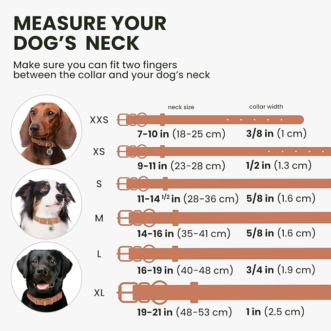 BronzeDog Rolled Leather Dog Collar with QR ID Tag, Adjustable Soft Round Collars for Small Medium Large Dogs Puppy (11" - 14 1/2" Neck Size, Peach)
