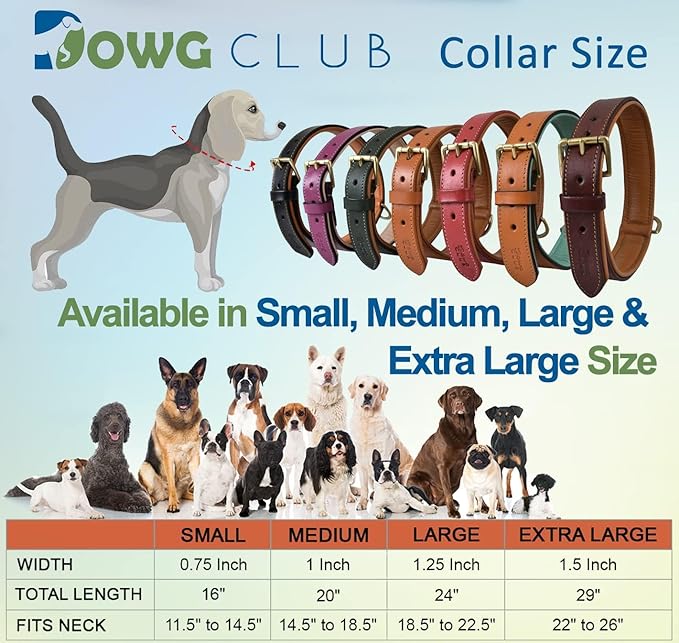 | Genuine Leather Collar with Scalloped Edges | Hand Tooled, Hand Carved, Full Grain, Heavy Duty | Comfortable, Strong (Large (Fit Neck Size 18.5"-22.5"), Brown-Scalloped Edges)