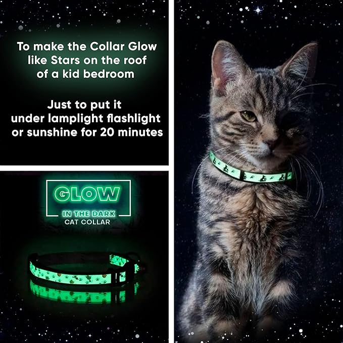 Pawtitas Pet Glow In The Dark Cat Collar with Safety Buckle and Bell Grey Hook