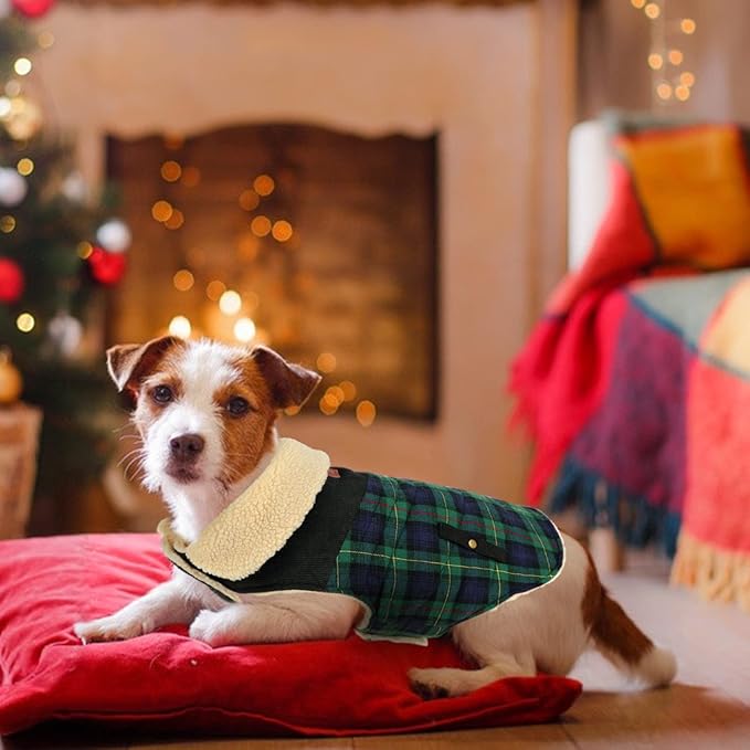 Winter Coat for Small and Medium Dogs, Puppy Plaid Jacket, Cotton Coat for Cold Weather, Windproof Warm Dog Garments, Pet Thickened Outfits Indoor Outdoor, Green L