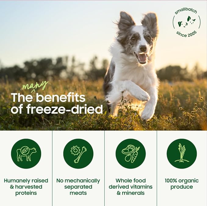 smallbatch Pets Freeze Dried Raw Dog Food, Beef Recipe, 25 oz, Organic High Protein Dog Food, Grain Free, Made in The USA, Humanely Raised Meat, Single Protein, for Picky Eaters, Hydrate & Serve