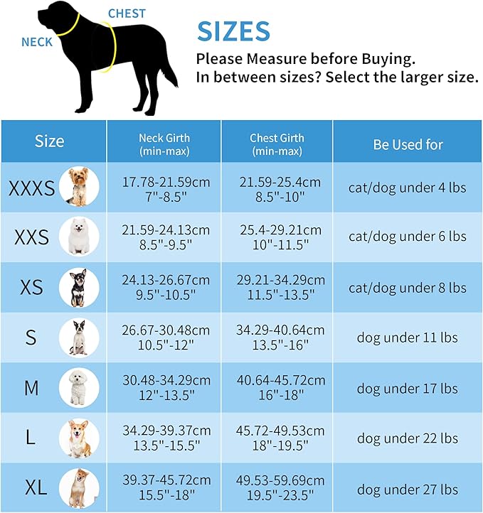 AIITLE Comfortable Dog Harness and Leash Set for Walking - Summer Step in Vest Harness,Reflective Bands, Adjustable No Pull Puppy Essentials, for Small Dogs and House Cats Turquoise XS