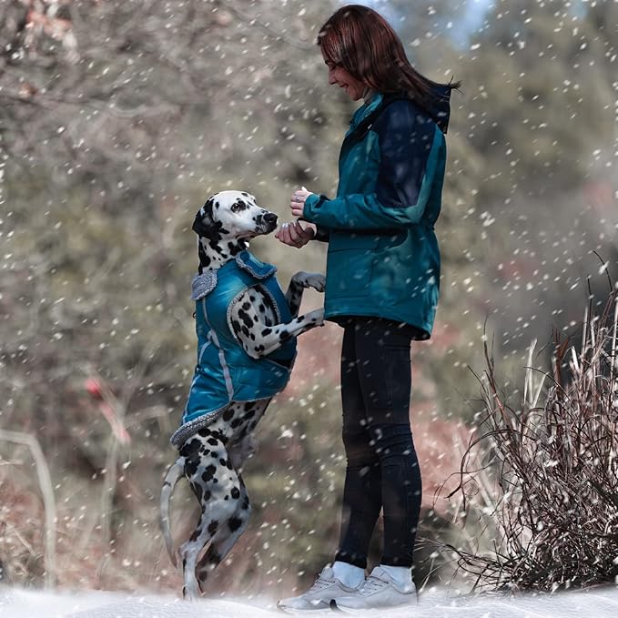 VIVAGLORY Frostfit Dog Coat, Dog Jacket for Winter & Cold Weather, Warm Fluffy Fleece Lined Water Resistant Reflective for Puppy, Coat with Velcro Fastening & Leash Hole, L, Turquoise