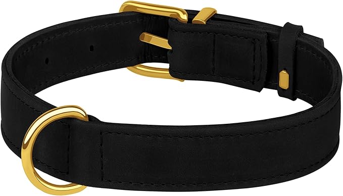 Leather Dog Collar - Heavy Duty Adjustable Soft Padded Pet Collars for Small Medium Large Dogs Breed - Black Green Brown Pink Red Blue (Black, M, 12"-15" Neck Fit)