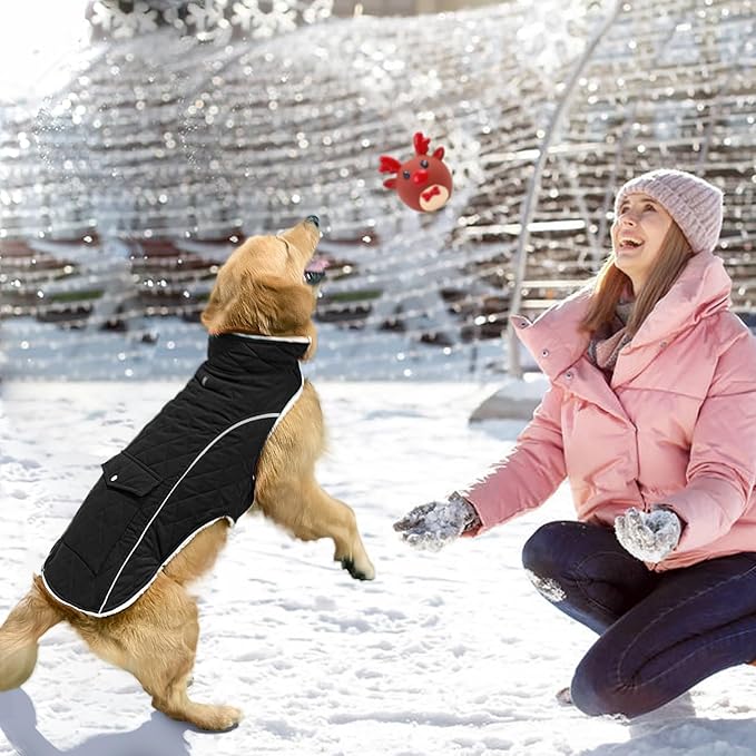 Malier Dog Winter Coat, Windproof Dog Cold Weather Coats with Real Pocket, Winter Extra Warm Pet Coat Fleece Jacket Reflective Clothes for Small Medium Large Dogs and Puppy (Black, Small)
