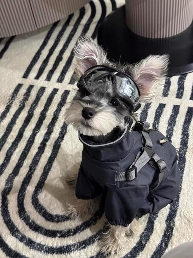 Mile High Life Waterproof Dog Raincoat, Full Coverage Small Dog Rain Coat with Harness, Adjustable 4 Legs Puppy Rain Jacket with Reflective Strip and Elastic Cuffs (Gray, XS Back Length 11.4")