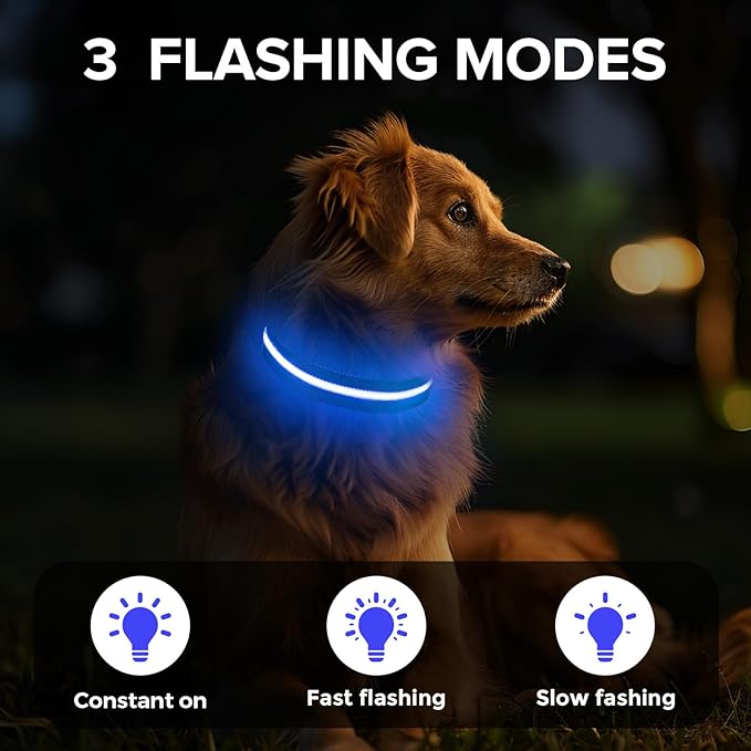 Jewyow Light Up Dog Collar, Adjustable USB Rechargeable Glow in Dark Dog Collar ，Waterproof Dog Collars for Medium Dogs (Blue, Medium)