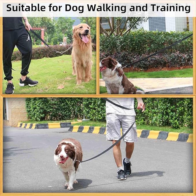 AMAGOOD 6 FT Puppy/Dog Leash, Strong and Durable Traditional Style Leash with Easy to Use Collar Hook, Great for Small, Medium and Large Dogs (3/4 in x 6 ft, Black and Orange 2-Pack)