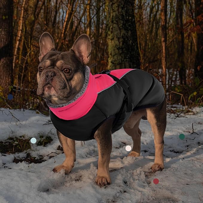 IECOii Extra Warm Fleece Dog Jacket with Buckle - Reflective Turtleneck Coat for Cold Weather - Small to Extra Large Dogs