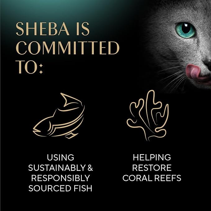Sheba Perfect Portions Wet Cat Food Pate with Sustainable Salmon and Tender Whitefish & Tuna Entree Variety Pack, 2.6 oz. Twin-Pack Trays (12 Count, 24 Servings) (Pack of 2)