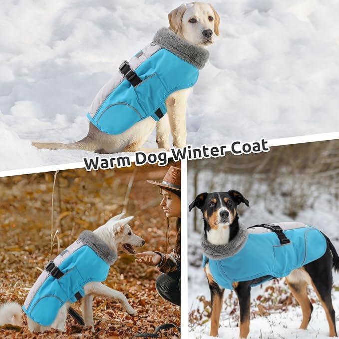 Queenmore Dog Jackets for Largeb Breeds, Large Dog Coats Winter Waterproof, Thick Fleece Lining Pet Coats for X-Large Dogs Winter, Blue, XL