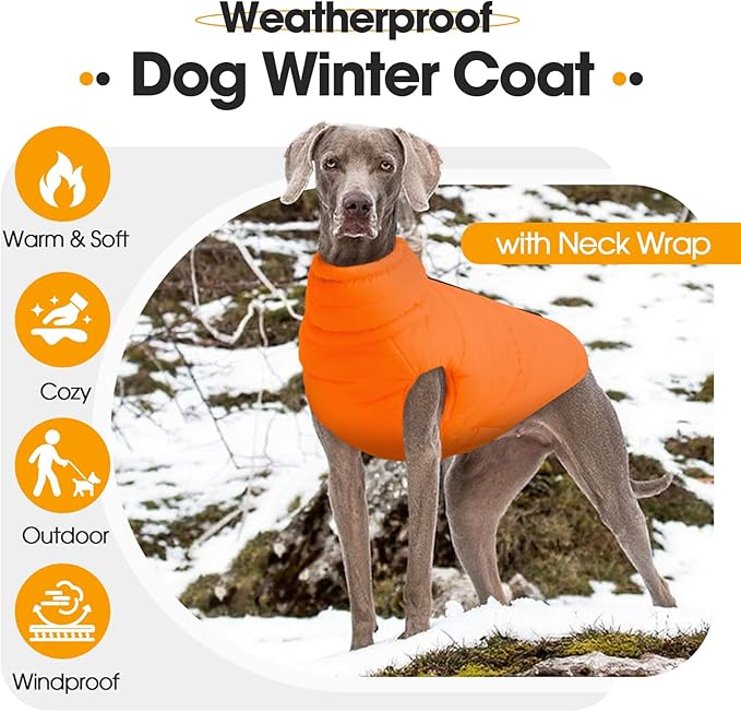 Dog Puffer Jacket with Detachable Neck Wrap for Small Dogs, Waterproof Orange Dog Vest with Back Zipper, Winter Coat Fleece Elastic Band on Chest for Dogs, Bichon Frise, Chihuahua, Orange XS