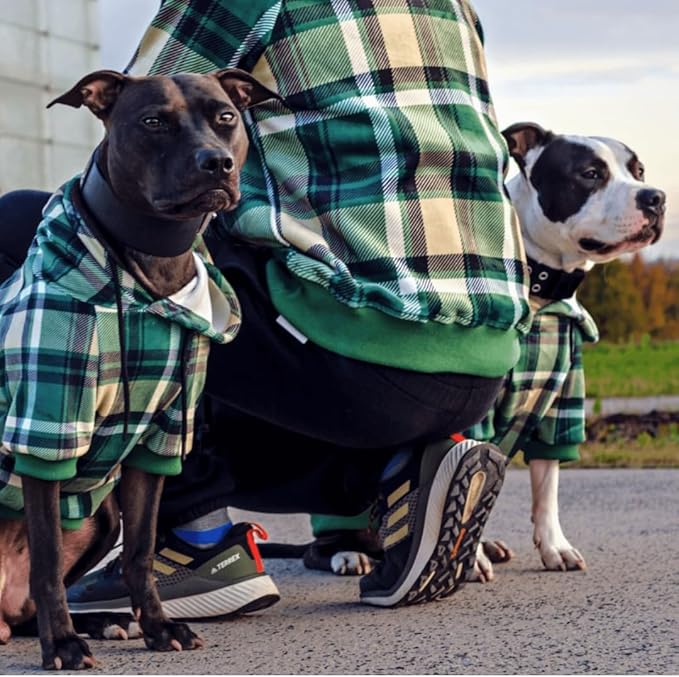 Spark Paws Dog Hoodie – Premium Dog Sweater for Small, Medium, and Large Dogs | Warm Outfits for French Bulldogs, Pitbull, Puppy, Winter Jacket Alternative - Green Plaid - S