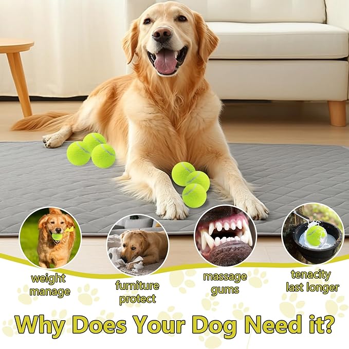 Swingers Squeaky Tennis Balls for Dogs,2.5 inch Training Tennis Balls,Exercise Ball for Pet Dog with Mesh Carry Bag Easy to Transport (Multicolor, 60 Pack)