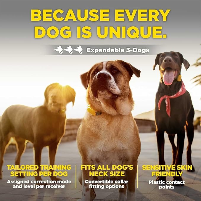 Dogtra CUE Green – E-Collar for Dogs Training Collar with Remote – Training Made Easy for Everyday Dog Owners – Gentle Vibration, Custom Boost, Waterproof, Rechargeable, 400-Yard Range System