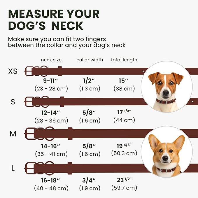BRONZEDOG Rolled Leather Dog Collar for Small Medium Large Dogs with QR ID Tag (M: 14-16 Inch, Chocolate Brown)