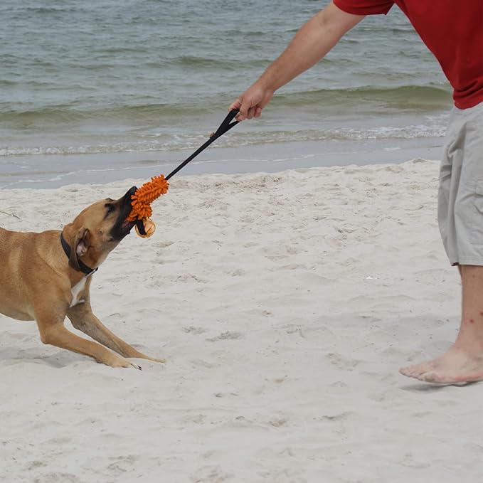 Dingo Dog tug of war toy for outdoor play traning agility,cuddly and shaggy plush tug toy for motivation and fun,soft nubby-textured noodle plush with bungee shock absorber and rubber ball orange15586