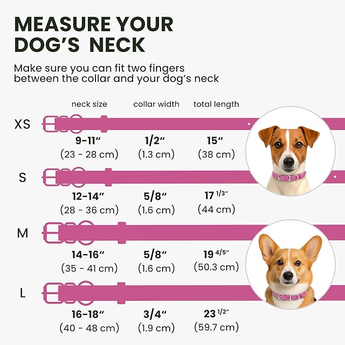 BRONZEDOG Rolled Leather Dog Collar for Small Medium Large Dogs with QR ID Tag (S: 12-14 Inch, Hot Pink)
