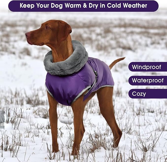Dog Coat for Large Dogs,XL Dog Winter Jacket,Warm Turtleneck Dogs Coat with Reflective,Pet Vest Water-Resistant Doggy Snowsuit Snow Jacket,Winter Waterproof Windproof Pet Vest Coats,Purple,XL