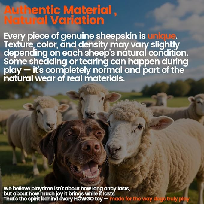 HOWGO Dog Rope Toy,Dog Bungee Chaser Toy 100% Sheepskin,Sheep Smell Tug Toy for All Breeds (Orange, Long Without Ball)