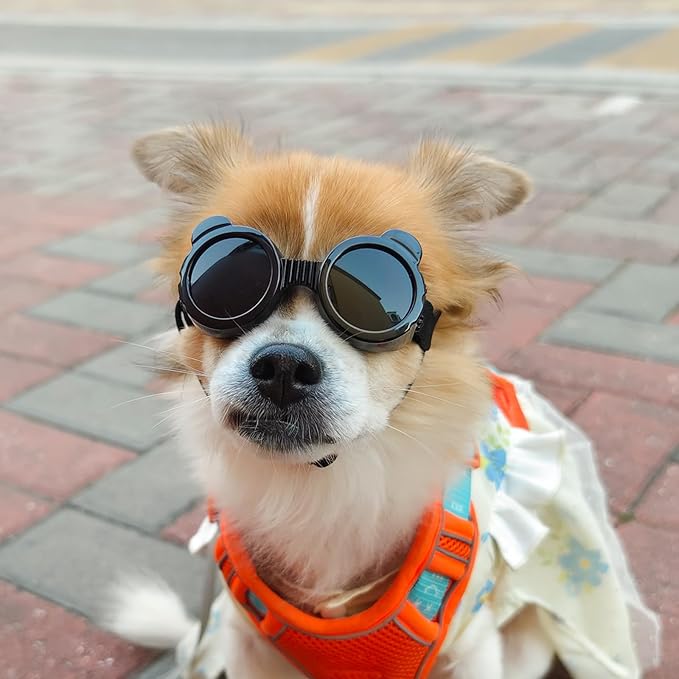 Namsan Dog Goggles Small Breeds, UV Protection Dog Glasses for XSmall to Small Dogs, Chihuahua Sunglases Windproof Dustproof Driving Eye Protection, Adjustable, Panda Black