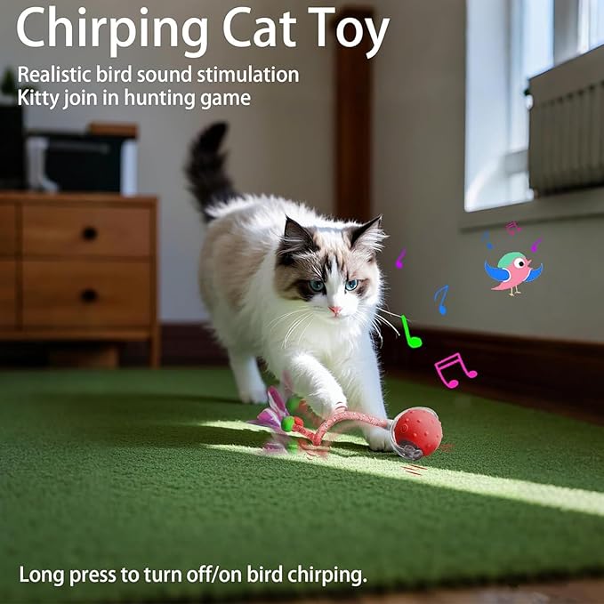 Tiny Fetch Dog Toy - Interactive Dog Toys, 360°Smart Automatic Rolling Electric Dogs Ball Toy with Birdsong, Automatic Obstacle Avoidance, Rechargeable, Boredom Relief for Dogs & Cats (Red*1 PC)