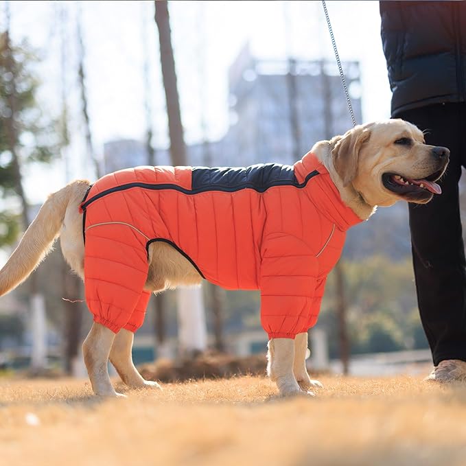 Warm Dog Coat, 4 Legs Covered Waterproof Windproof Reflective Vest, Zippered Adjustable Outdoor Snow Jacket for Small Medium Large Dogs Orange XXXL