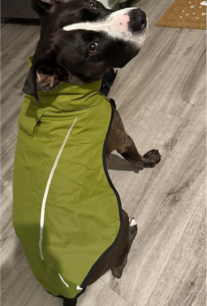 Mile High Life Dog Raincoat, Adjustable Waterproof Reflective Rain Jacket for Small Medium Large Dogs, Lightweight Breathable Pet Rain Coat with Leash Hole(Lime Yellow,XXS Chest 16-19")