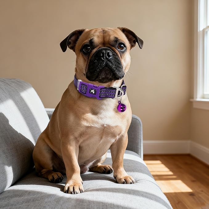 Reflective Dog Collar with Bell - Adjustable Nylon Puppy Collar for Small Dogs, Chihuahua Pomeranian - Night Safety (Purple XS)