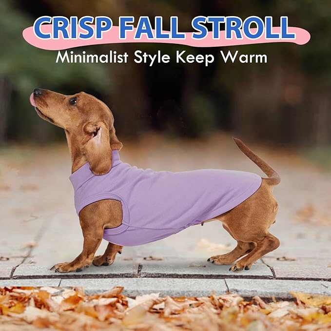 Fleece Sweater for Smalll Dogs - Purple, M - Pullover Vest | Stretchable Warm Sweatshirt, Lightweight Winter Jacket for Free Movement,Seasonal Dog Clothes,Shih Tzu, Papillon
