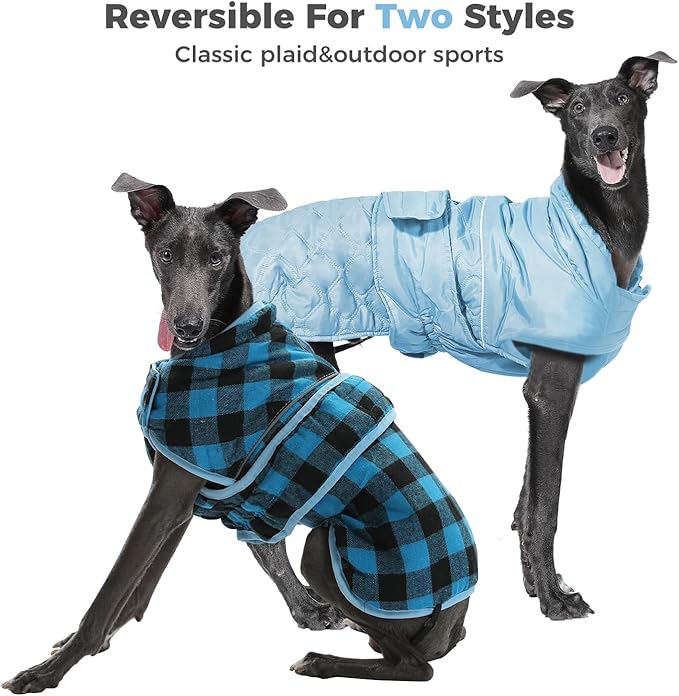 PAWZ Road Dog Winter Coat with 5 Layers Warm Material, Reversible Dog Clothes with 2 Sides, Dog Jacket Outdoor Water Repellent, (Blue Plaid L)