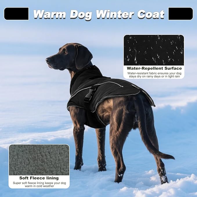 DENTRUN Dog Winter Coat - Windproof Reflective Jacket, Plush Turtleneck & Adjustable Belt, Water Repellent Fleece Lined Cold Weather Vest for Corgi Bulldog, Black, L