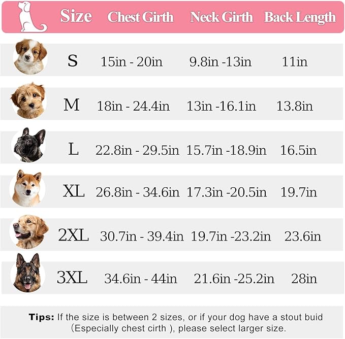 PETDSH Dog Coat Small, Windproof Dog Jacket with Warm Fleece Lining, Thickened Collar Dogs Winter Coat, Adjustable Reflective Pet Coats for Cold Weather (Pink, Small)