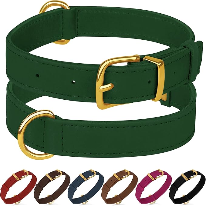 Leather Dog Collar - Heavy Duty Adjustable Soft Padded Pet Collars for Small Medium Large Dogs Breed - Black Green Brown Pink Red Blue (Green, S, 9"-12" Neck Fit)
