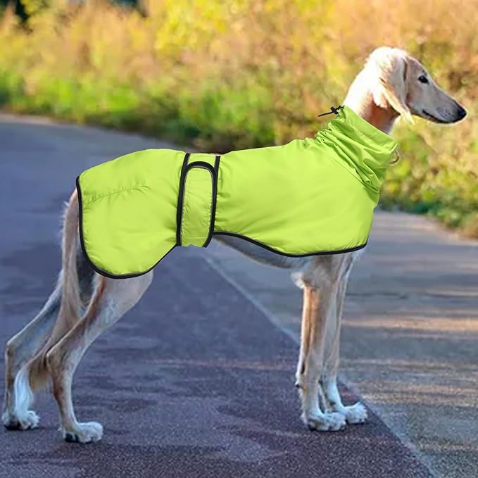 Dog Raincoat with Reflective Bar, Rain/Water Resistant, Adjustable Vest - Dog Raincoats for Greyhounds, Lurchers and Whippets - Light Green - L