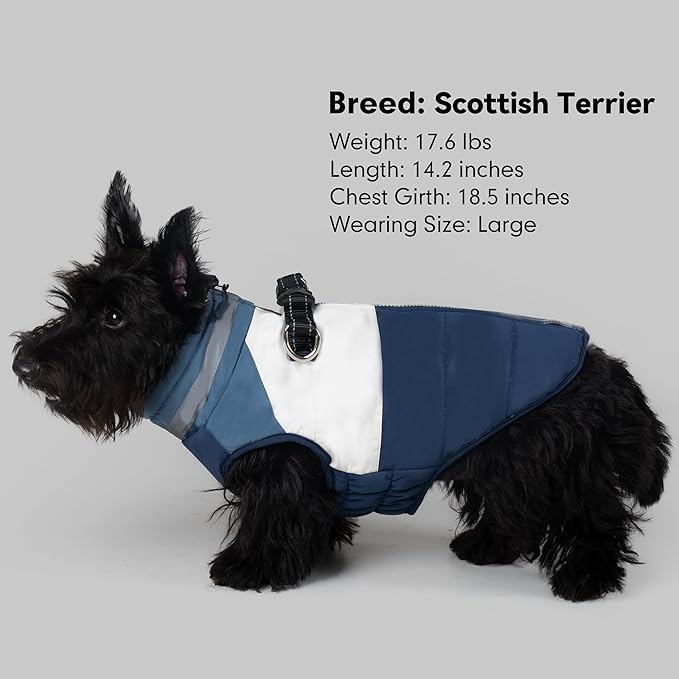 azuza Dog Jacket for Small Dogs Waterproof Dog Coat with Reflective Strips and Harness Built in Warm Fleece Dogs Winter Coat Windproof with Back Zipper, Navy M