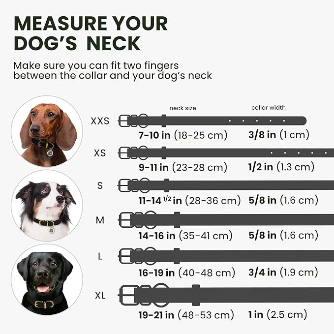 BronzeDog Rolled Leather Dog Collar with QR ID Tag, Adjustable Soft Round Collars for Small Medium Large Dogs Puppy (11" - 14 1/2" Neck Size, Black Night)