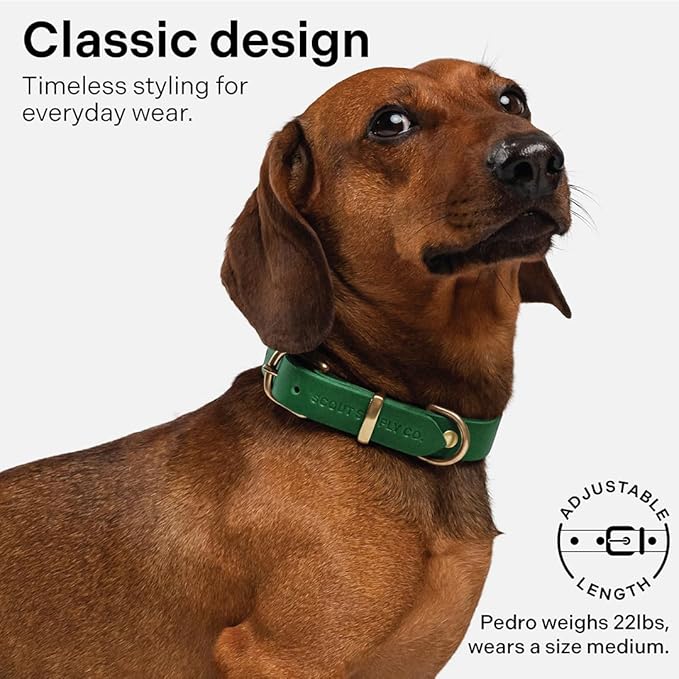 Classic Genuine Leather Dog Collar | Dog Collars for Medium Dogs, Small Dogs, Large Dogs & Extra Large Dog | Wide Dog Collar | Heavy Duty Collar (Green, Medium)