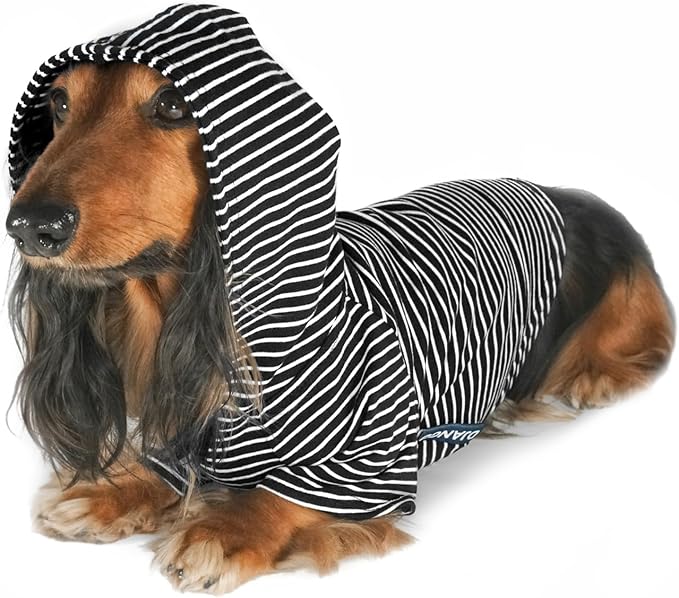 DJANGO Dog Hoodie – Warm, Lightweight, Soft & Stretchy Dog Sweater with Hood, Harness Hole & Elastic Waistband – Cozy Sweatshirt for Small Dogs up to 25 lbs, Dachshunds & Puppies – Black, X-Small