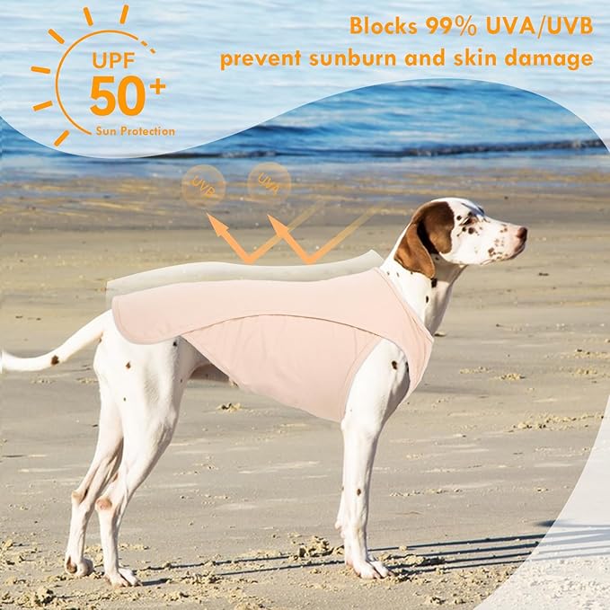 2 Pack Dog T-Shirts for Large Dogs, Quick Dry Cooling Vest, Summer UV Protection UPF50+ Shirt for Dogs Outdoor Hiking, Beach Trip, Travel, Purple+Pink, 2XL