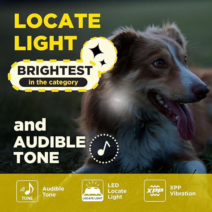 Dogtra 200iQ Remote Training E Collar – 100 Levels, Tone, Vibration, 1/2 Mile Range – Compact, Waterproof, One-Handed Control for Dogs 10 lbs+ – Lightweight Design for Daily Obedience Training