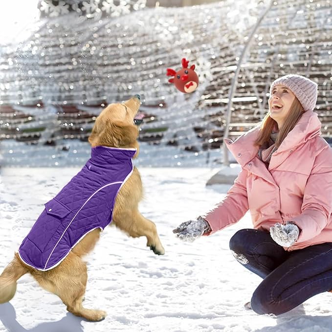 Malier Dog Winter Coat, Windproof Dog Cold Weather Coats with Real Pocket, Winter Extra Warm Pet Coat Fleece Jacket Reflective Clothes for Small Medium Large Dogs and Puppy (Purple, Small)