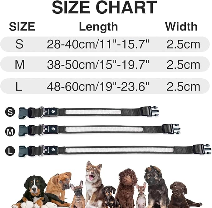 MASBRILL Light Up Dog Collars - LED Dog Collar Rechargeable Lighted Dog Collars for Night Resistant-Water Glow Dog Collar