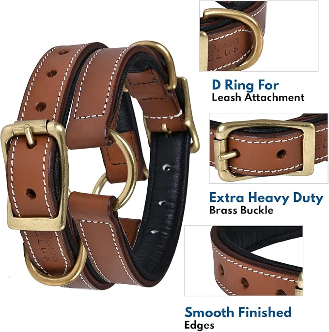 | Genuine Leather Adventure Dog Collar | Full Grain, Heavy Duty | With inner Cushioned padding | Best for Medium, Large & XL Dog (Medium (Fit Neck Size 14.5"-18.5"), Brown With Center O Ring)