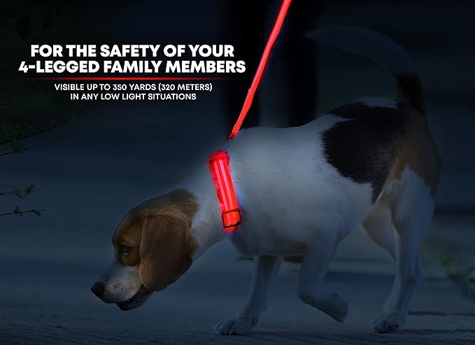 Illumiseen LED Dog Collar USB Rechargeable - Bright & High Visibility Lighted Glow Collar for Pet Night Walking - Weatherproof, in 6 Colors & 6 Sizes (Red X-Small)